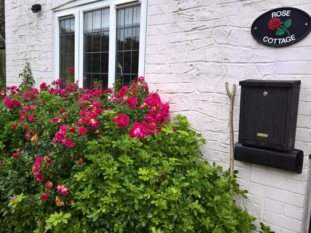 Rose Cottage Chard Bagian luar foto